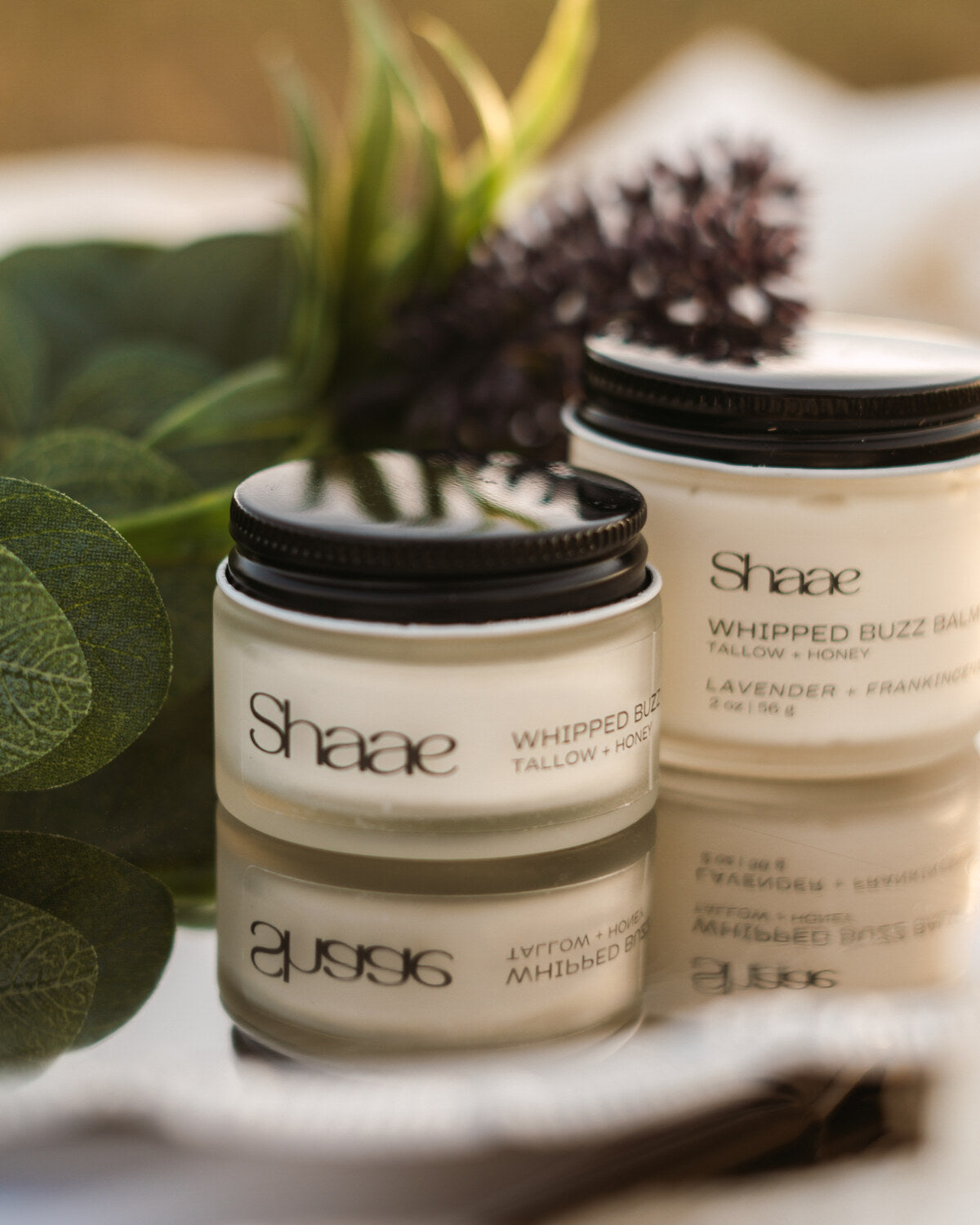 Whipped Buzz Balm - Lavender & Frankincense